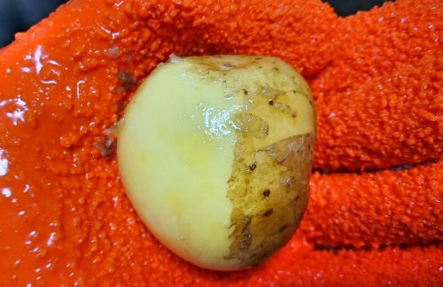 ダイソーピーラーグローブでじゃが芋の皮を半分剥いた写真